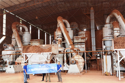 Hammer Mill Grinding Machine 